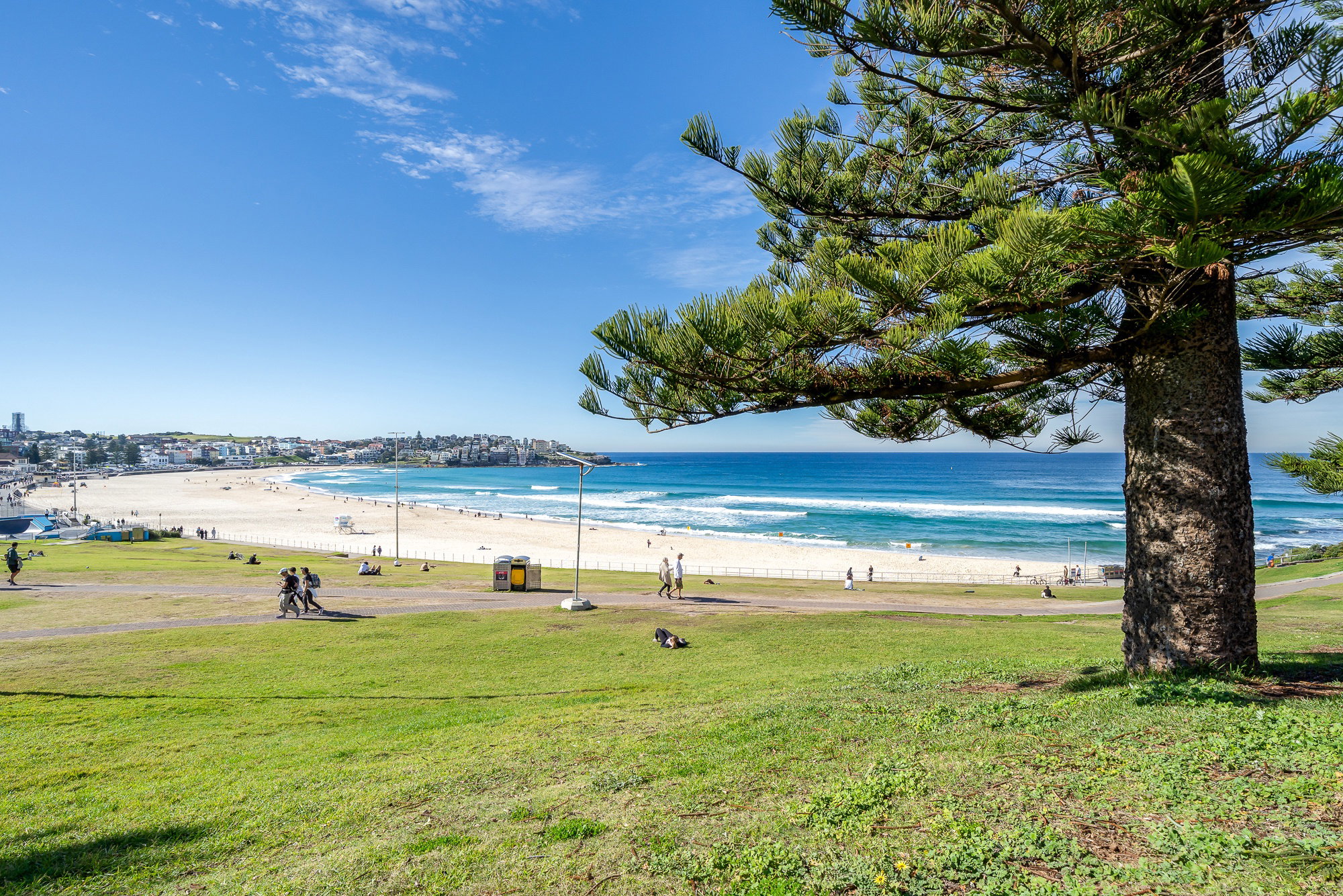 Furnished 1 Bedroom Apartment in Bondi Beach
