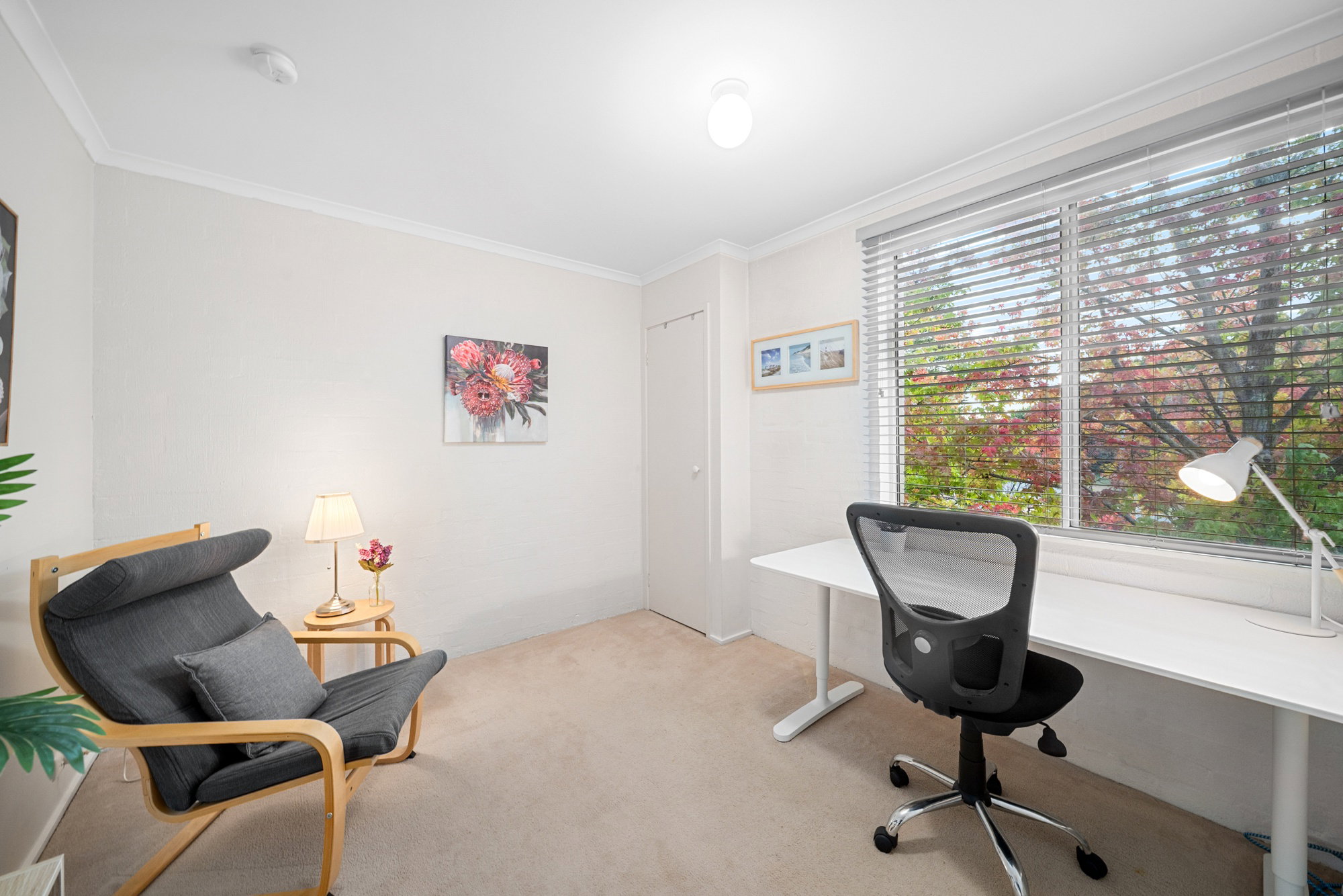 Furnished 1 Bedroom Apartment in Phillip