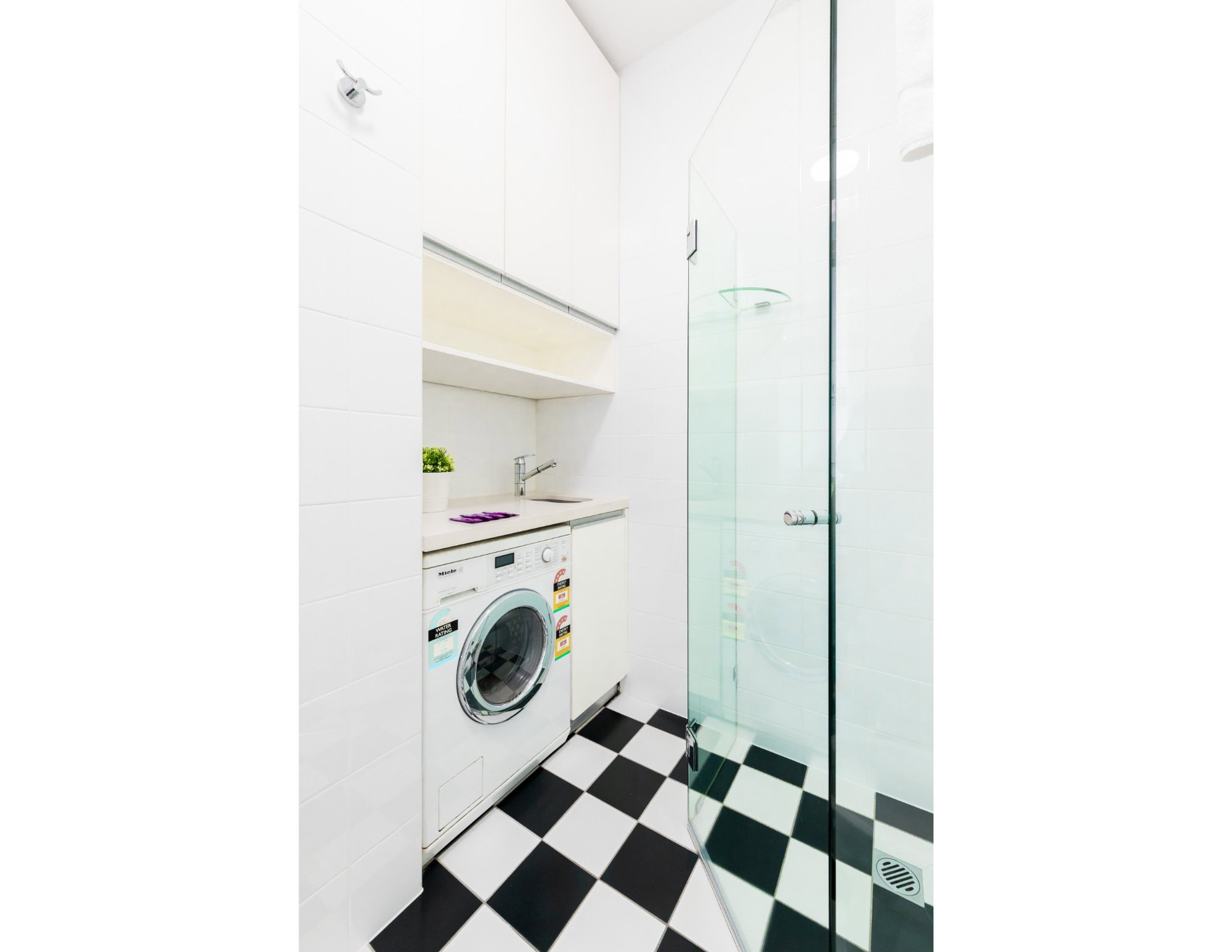 Furnished 1 Bedroom Rental in Glebe