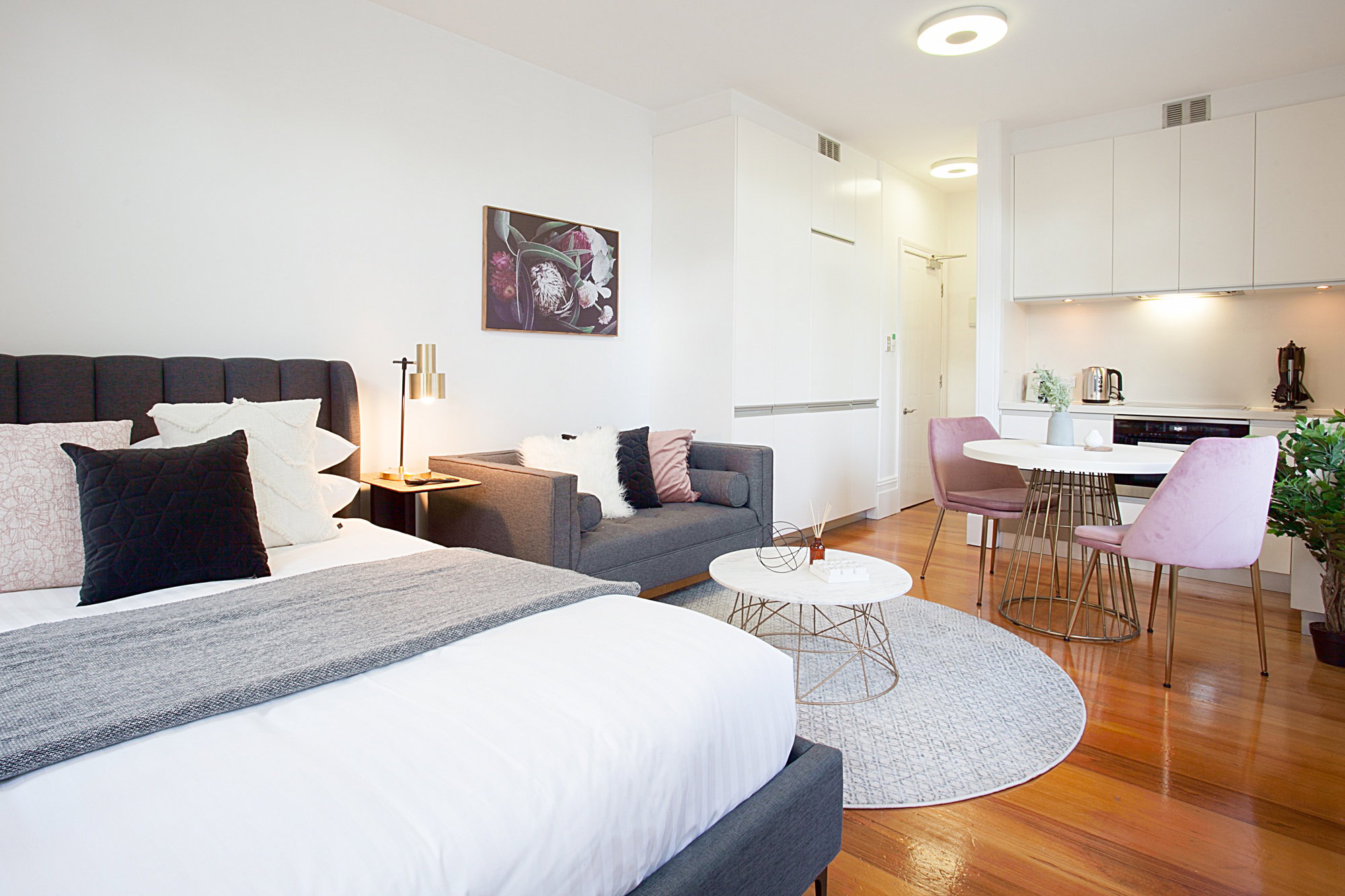 Furnished 1 Bedroom Apartment in Glebe