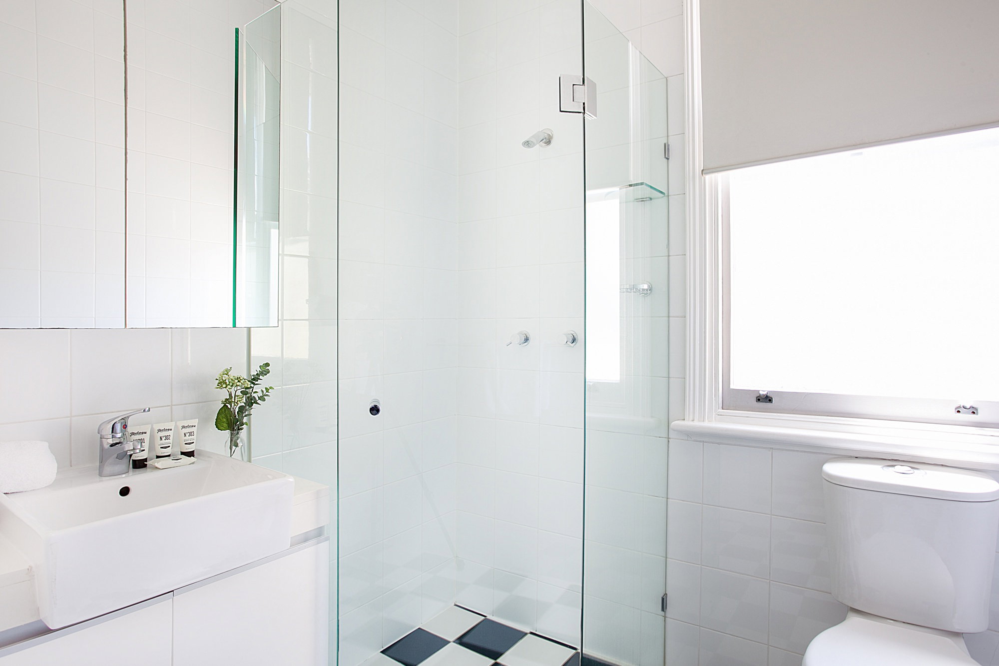 Furnished 1 Bedroom Apartment in Glebe
