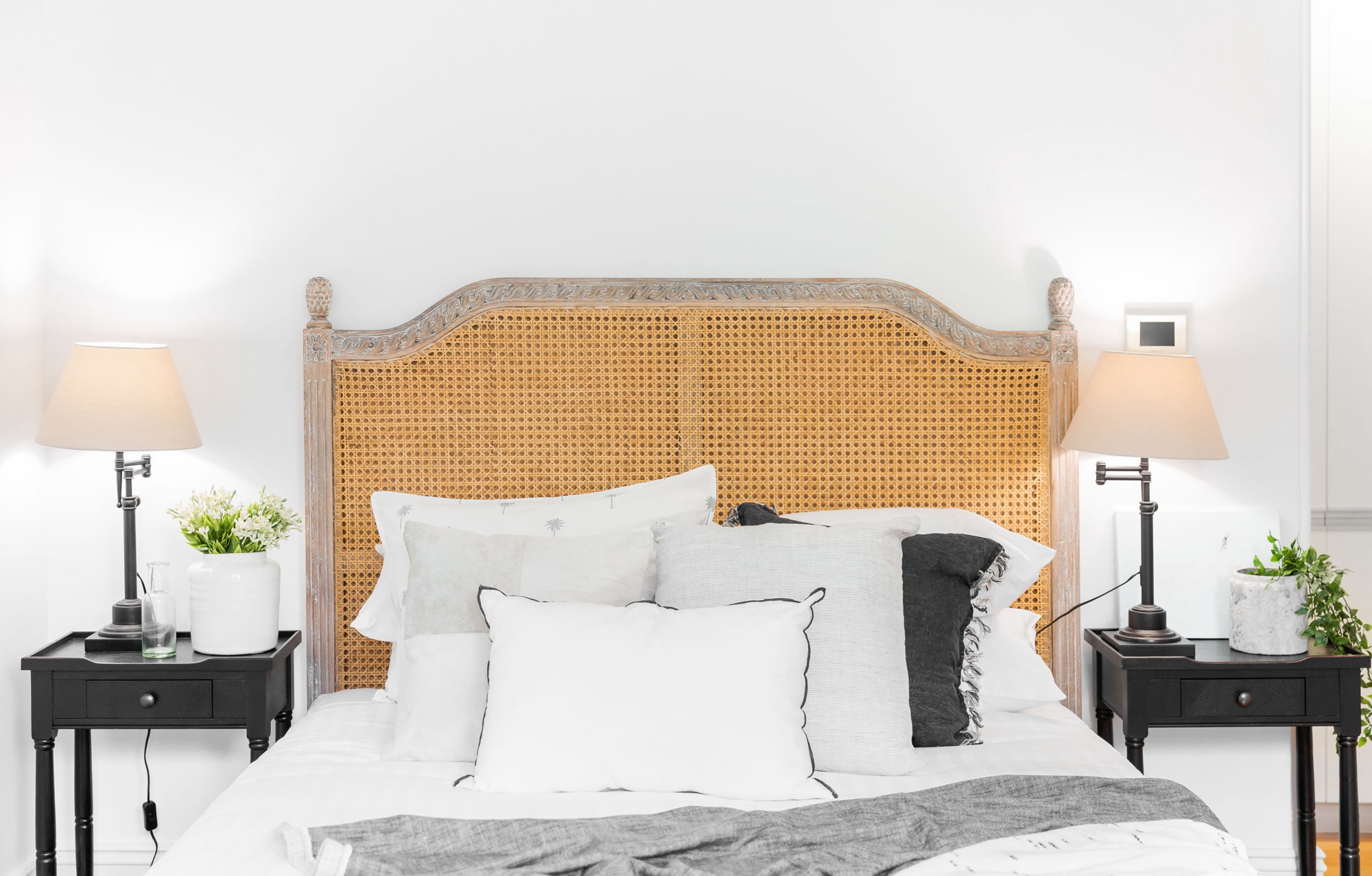 Furnished 1 Bedroom Apartment in Glebe
