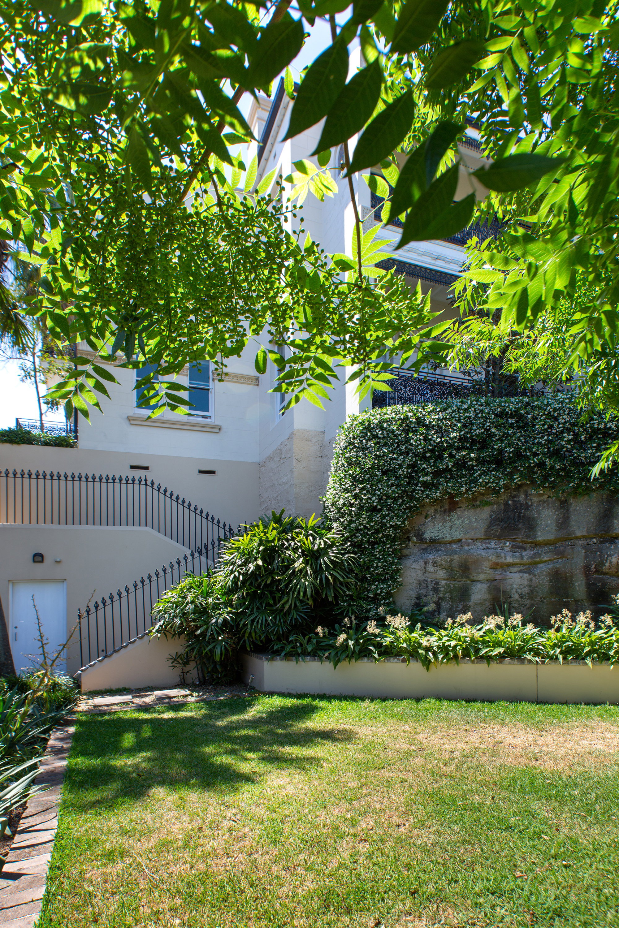 Furnished 1 Bedroom Rental in Glebe