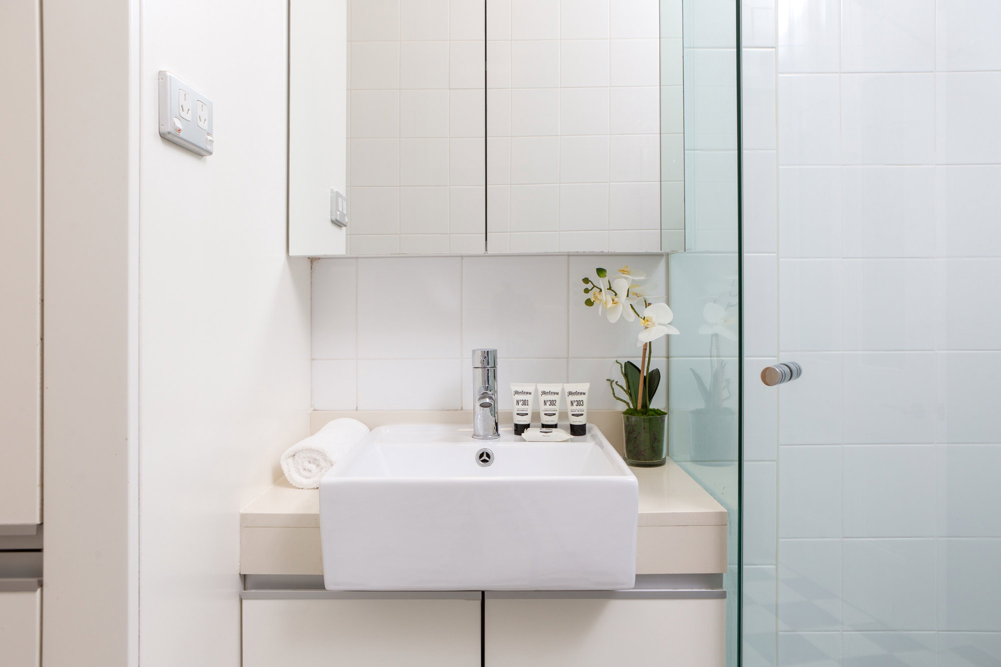 Furnished 1 Bedroom Rental in Glebe