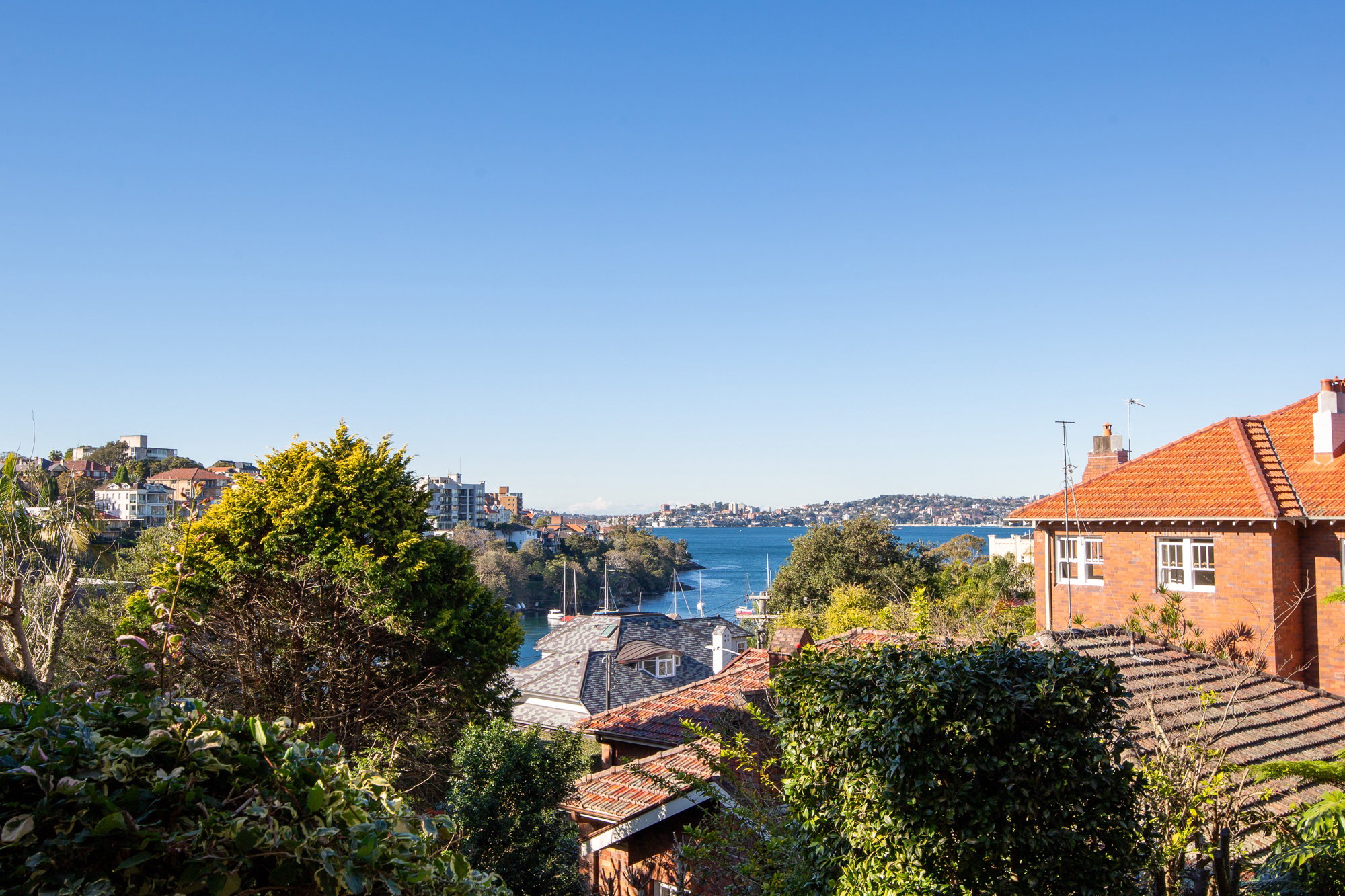 Furnished 1 Bedroom Apartment in Neutral Bay