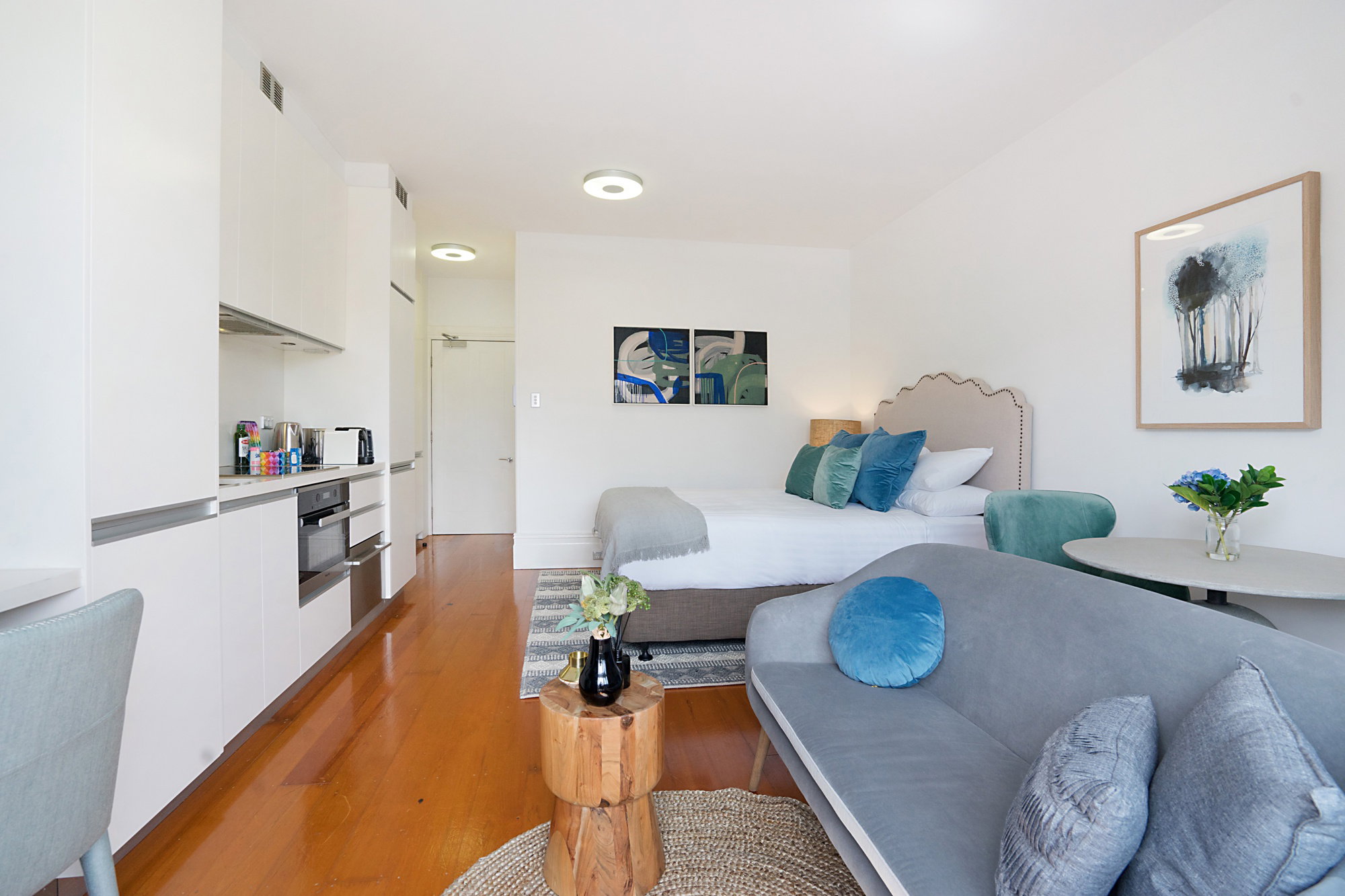 Furnished 1 Bedroom Rental in Glebe
