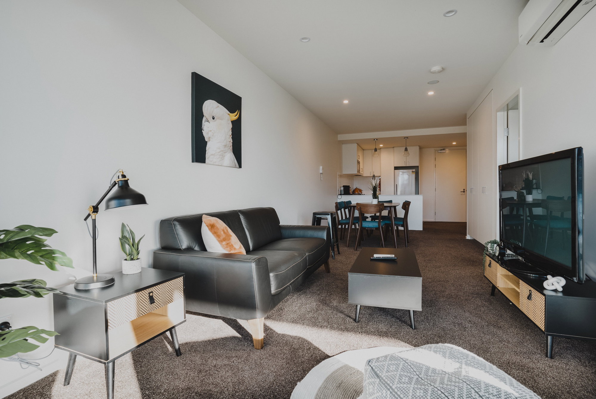 Furnished 1 Bedroom Apartment in Braddon