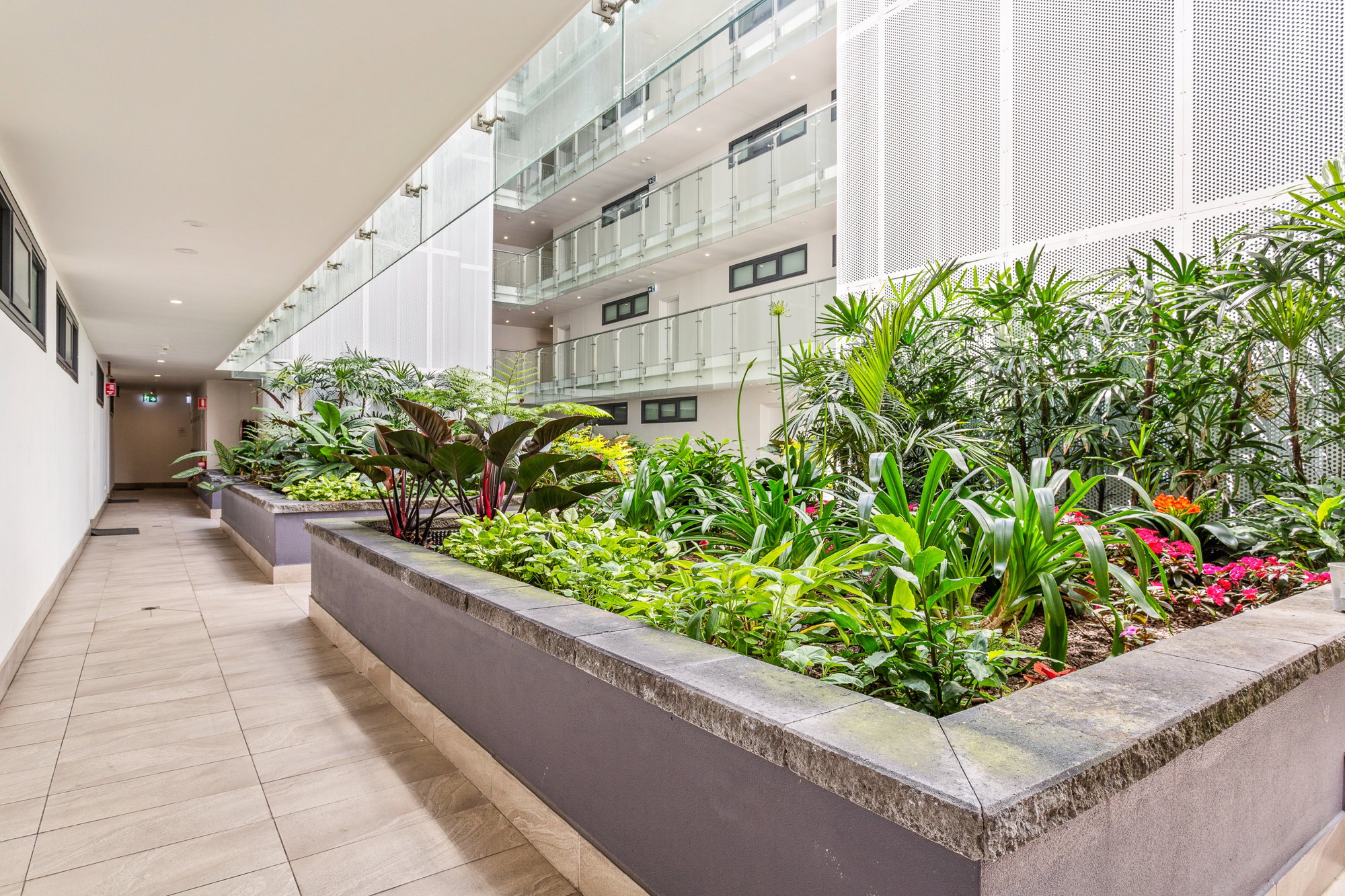Furnished 2 Bedroom Apartment in Dee Why