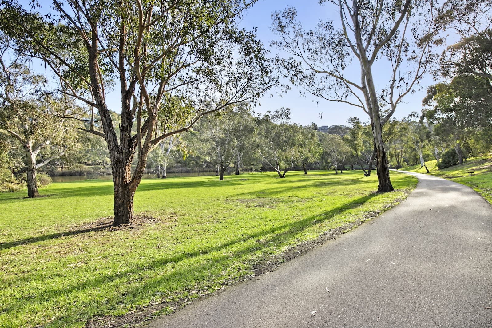 Furnished 1 Bedroom Rental in Newtown