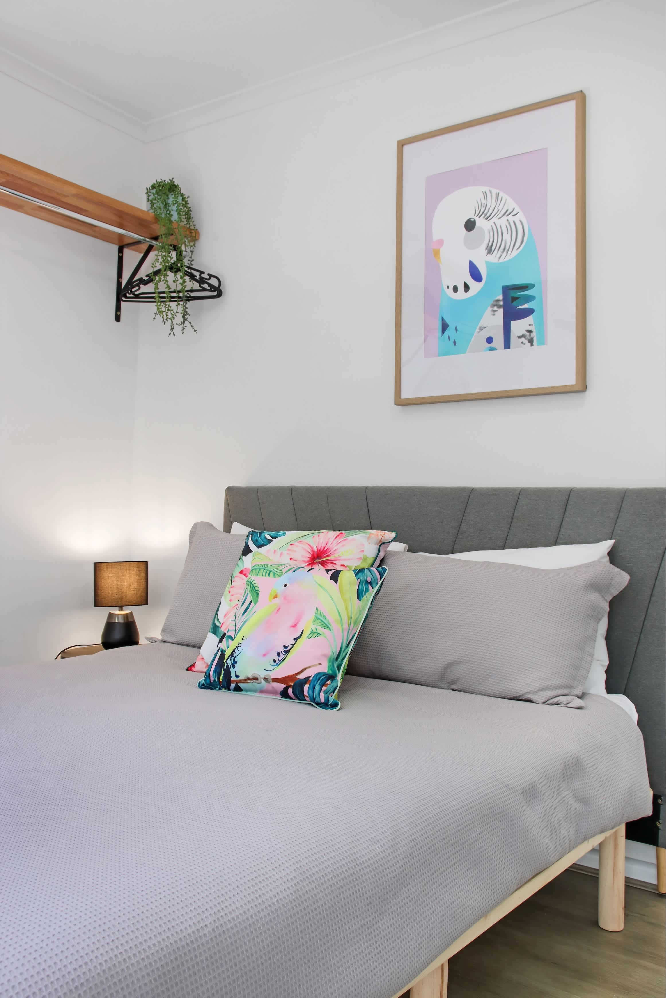 Furnished 1 Bedroom Apartment in Highton