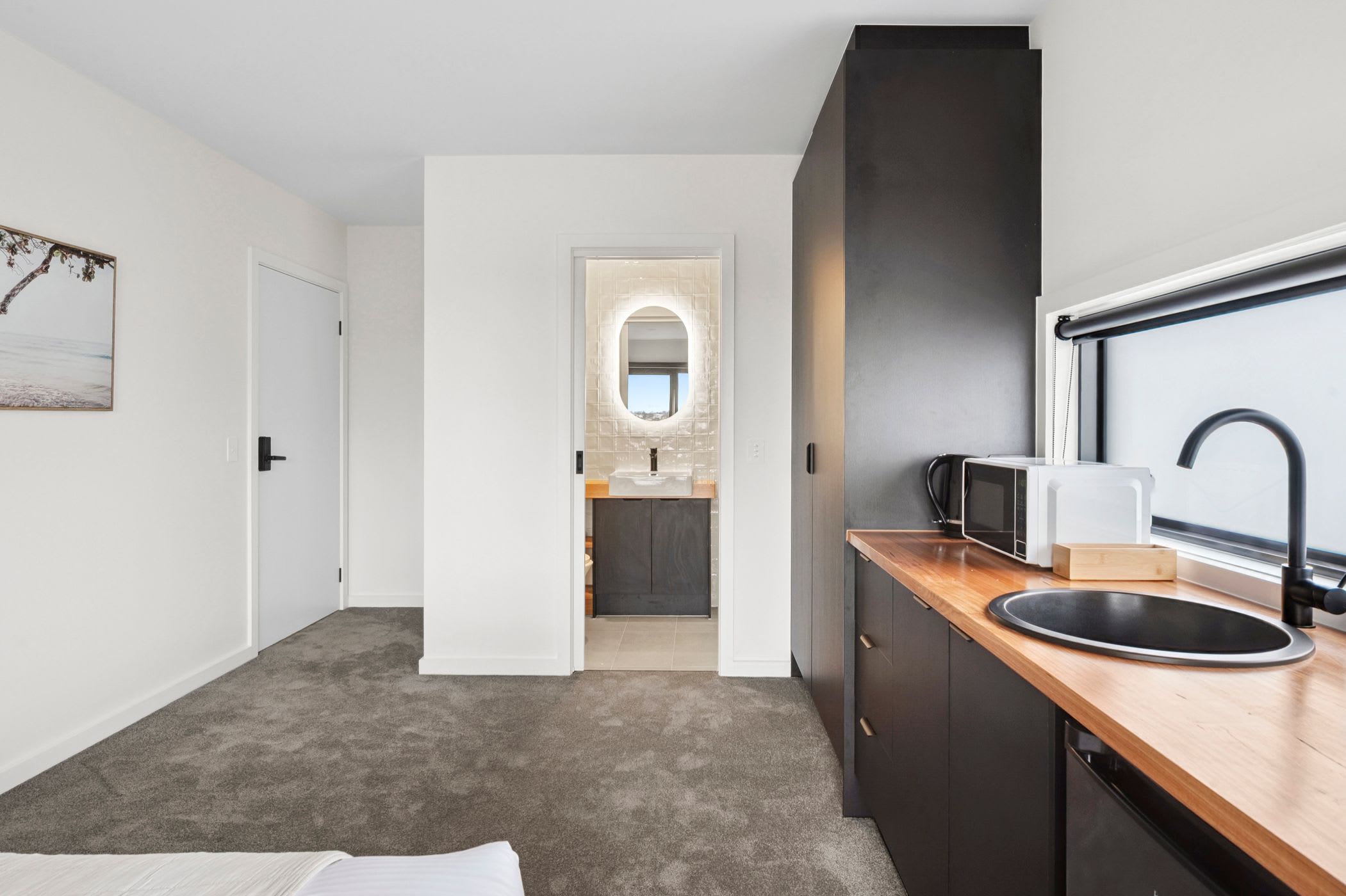 Furnished 1 Bedroom Rental in Belmont