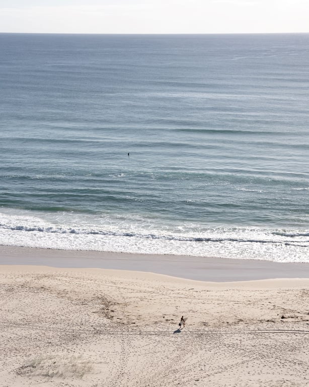 Furnished 2 Bedroom Rental in Palm Beach